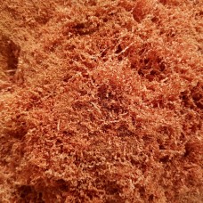 Aserrin de corte 1 Gal