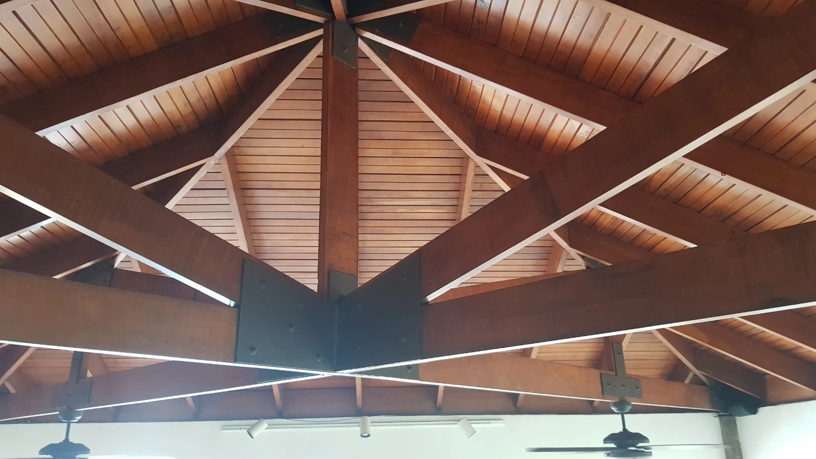 Vine-Covered Pergola Walkway